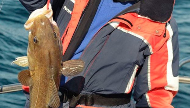 Reykjavik Fishing Trip - Foto 4