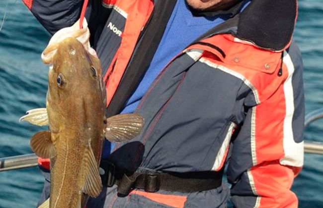 Reykjavik Fishing Trip - Photo 4