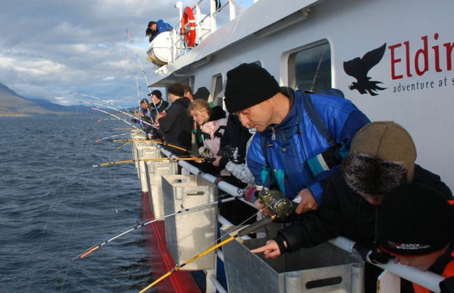 Reykjavik Fishing Trip - Photo 1