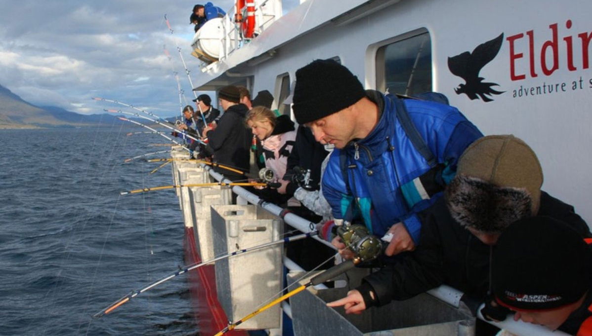 Reykjavik Fishing Trip - Foto 1