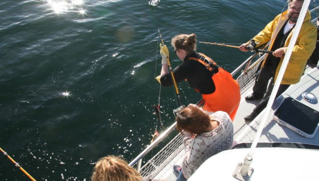 Reykjavik Fishing Trip - Foto 3