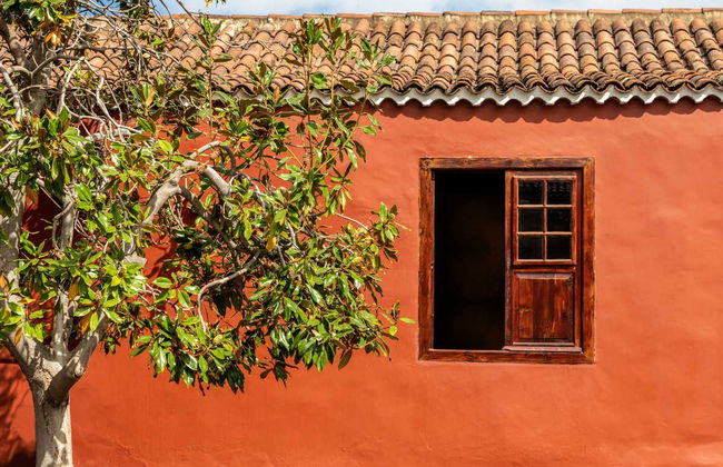 Tour do vinho pelo norte de Tenerife - Foto 4