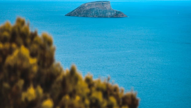 Whale Watching + Cabras Islets - Foto 3