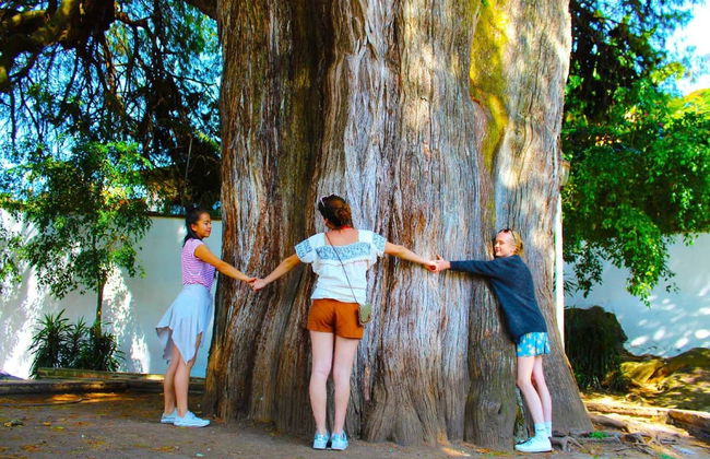 Tour por Valle de Bravo - Foto 5