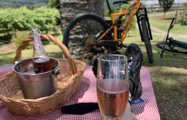 Tour de bicicleta por Nove Colônias + piquenique na Vinícola Casa Sander - Foto 2
