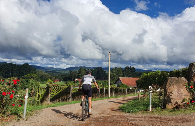 Tour de bicicleta por Nove Colônias + piquenique na Vinícola Casa Sander - Foto 3