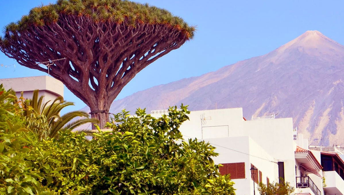 Excursión al Teide, Icod, Masca y Garachico desde el norte de Tenerife - Foto 1