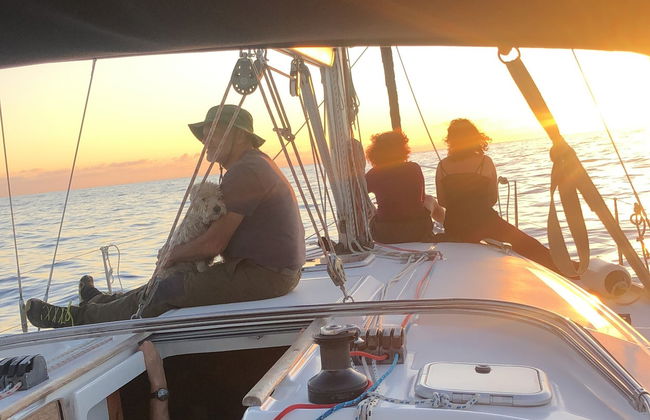 Alquiler de barco con patrón en Tazacorte - Foto 5