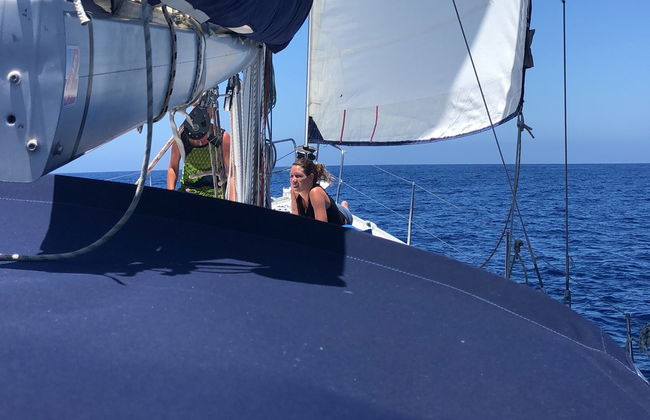 Alquiler de barco con patrón en Tazacorte - Foto 4