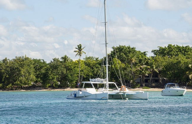 Saona Island Catamaran Cruise - Photo 1