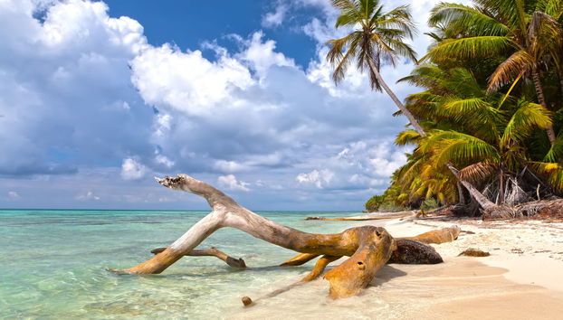 Saona Island Beach Tour - Photo 5