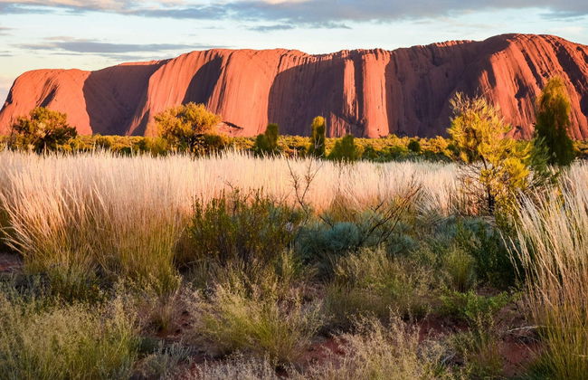 Tour en segway por el Uluru - Foto 8