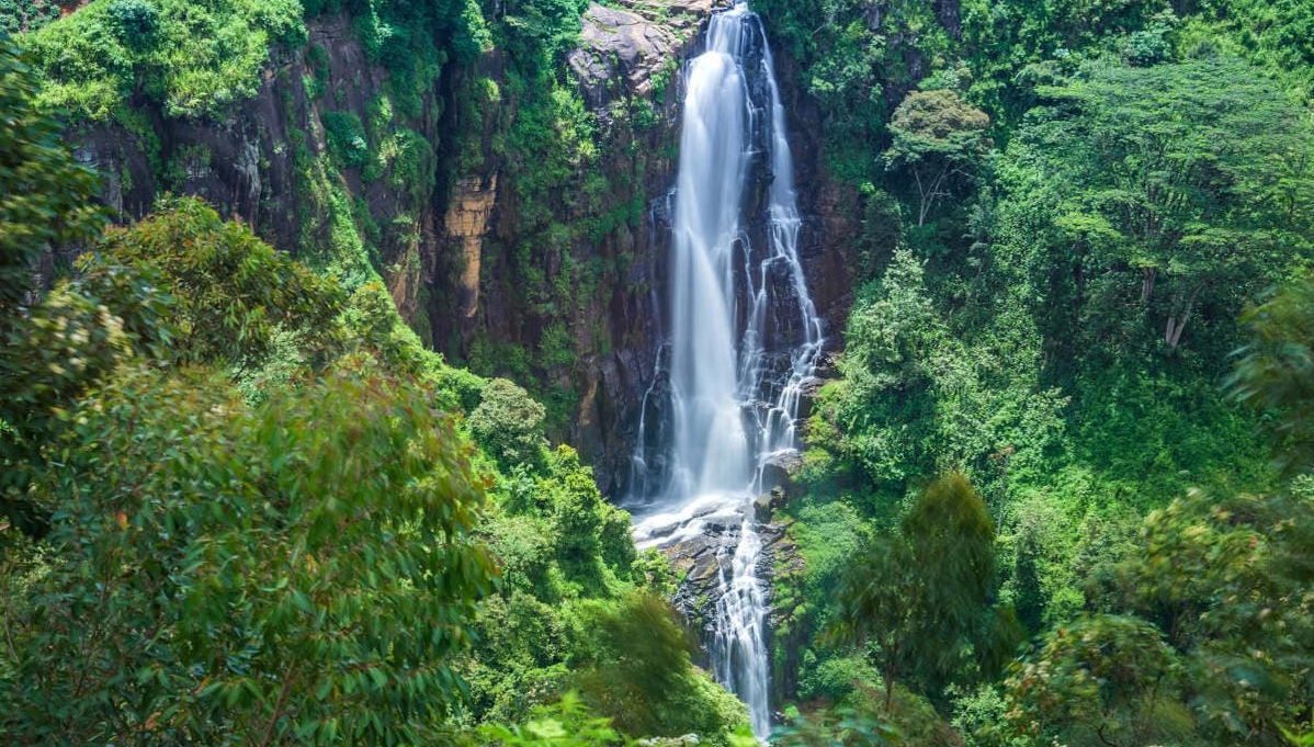 Private Nuwara Eliya Trip: 2 Days - Foto 1