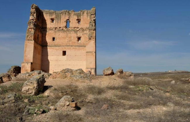 Visita guiada pelo sítio arqueológico de Cástulo - Foto 6