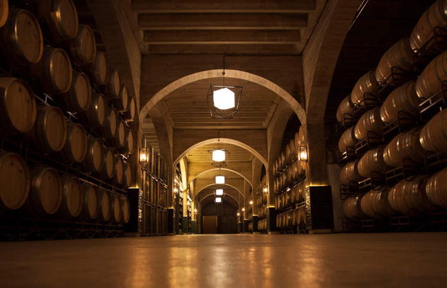 Visita a las bodegas Solar de Samaniego - Photo 3