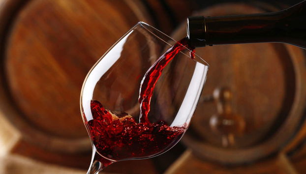 Tour in Laguardia - Photo 2