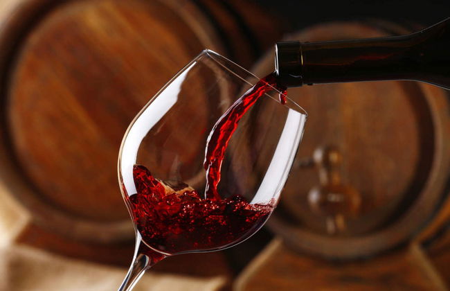 Visita a las bodegas Solar de Samaniego - Photo 1