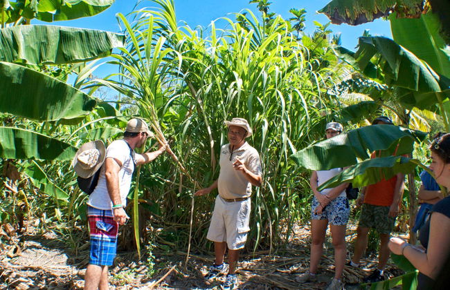 Tour de la cultura dominicana - Foto 5