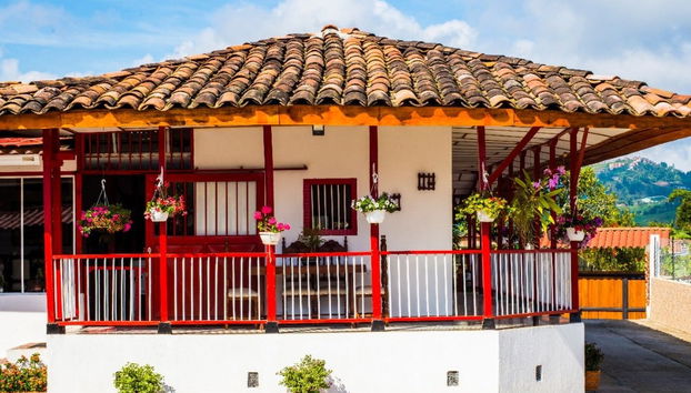 Tour delle orchidee - Foto 4