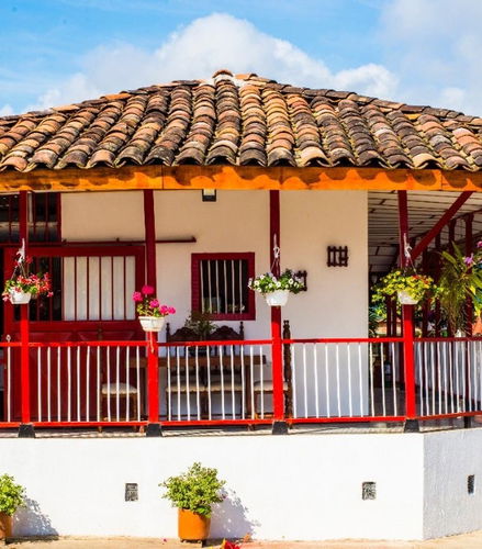 Foto de Tour de las orquídeas