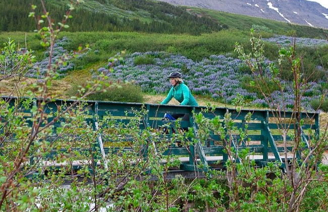 Tour en bicicleta y kayak por los Westfjords - Foto 4