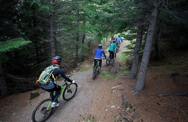 Tour en bicicleta y kayak por los Westfjords - Foto 5