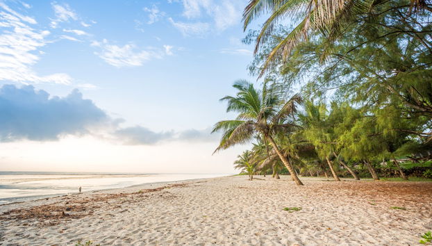 Moschea Kongo, Foresta Sacra di Kaya Kinondo e Shimoni - Foto 3