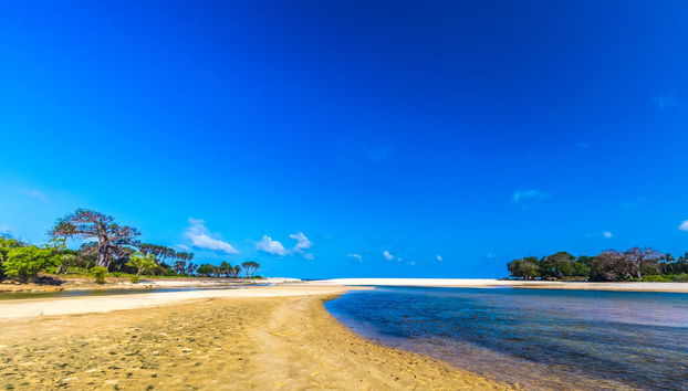 Moschea Kongo, Foresta Sacra di Kaya Kinondo e Shimoni - Foto 4