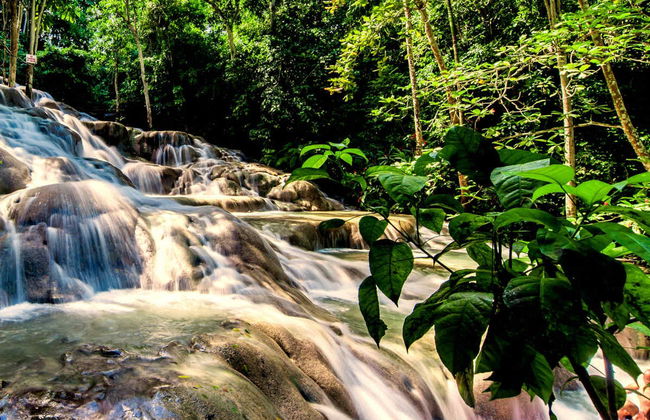 Tour de Bob Marley + Cascadas del río Dunn y Laguna Luminosa - Foto 1