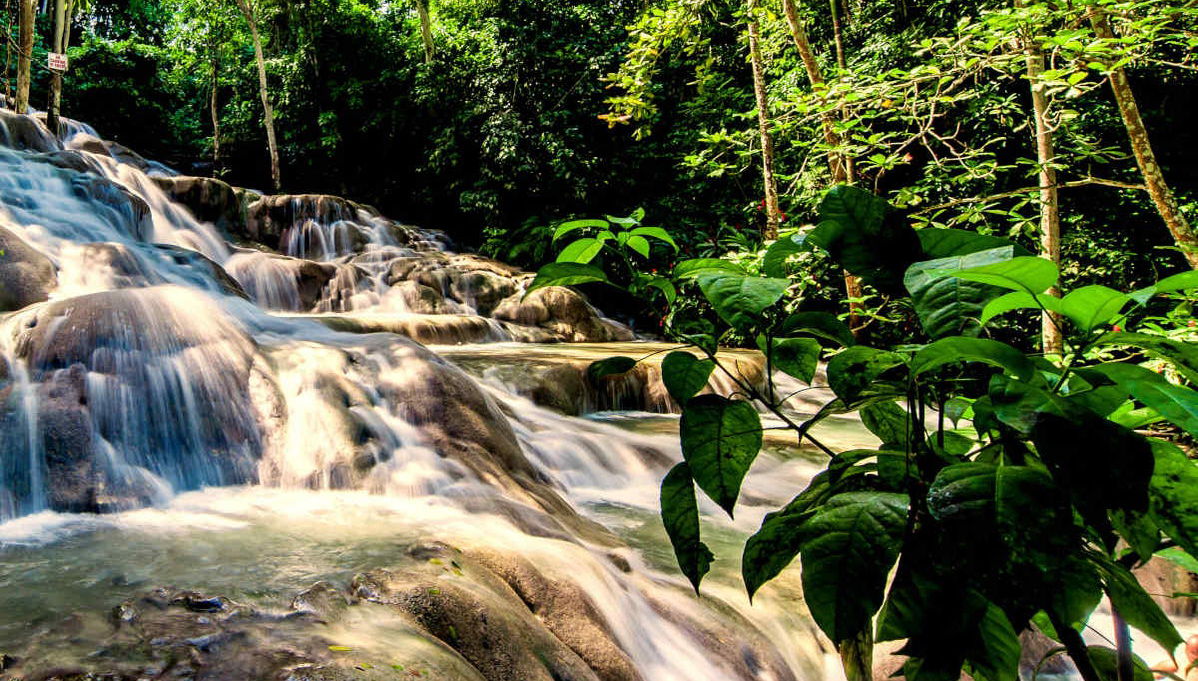 Tour de Bob Marley + Cascadas del río Dunn y Laguna Luminosa - Foto 1