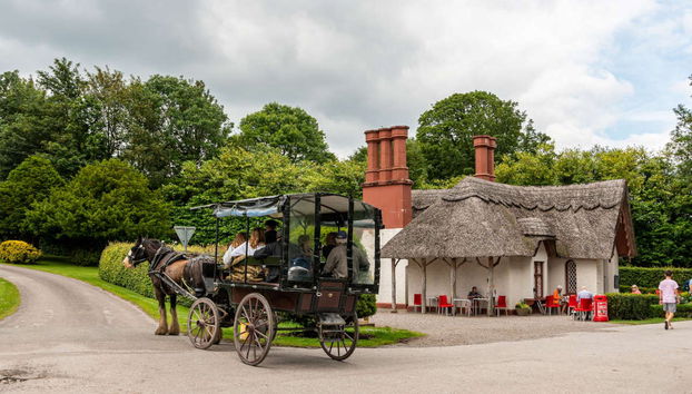 Ring of Kerry Tour - Photo 3