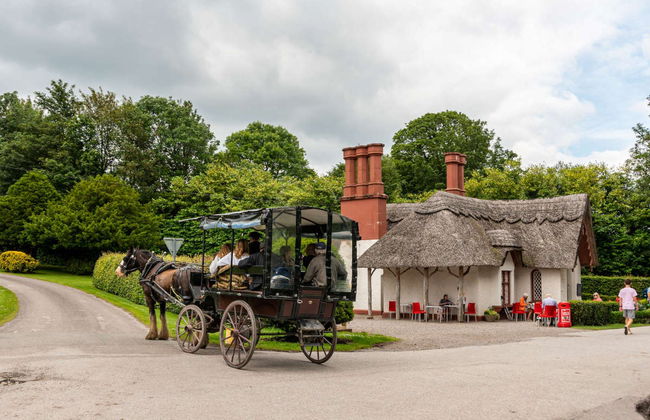 Ring of Kerry Tour - Photo 3