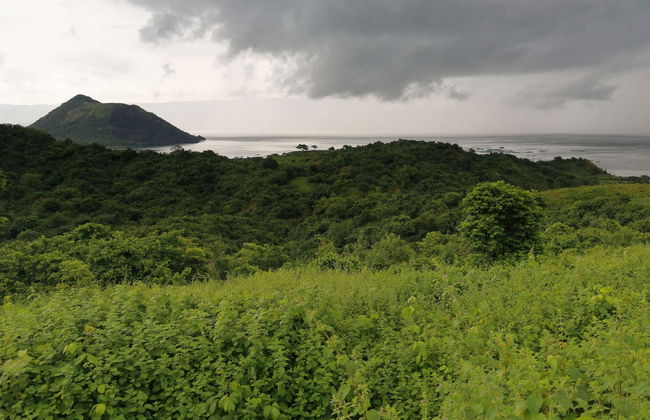 Tour por Manila + Tagaytay Ridge - Foto 1