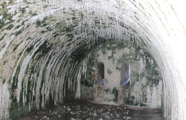 San Juan de Ulua Castle Tour - Foto 3