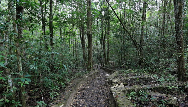 Trekking nella Selva Lacandona - Foto 4