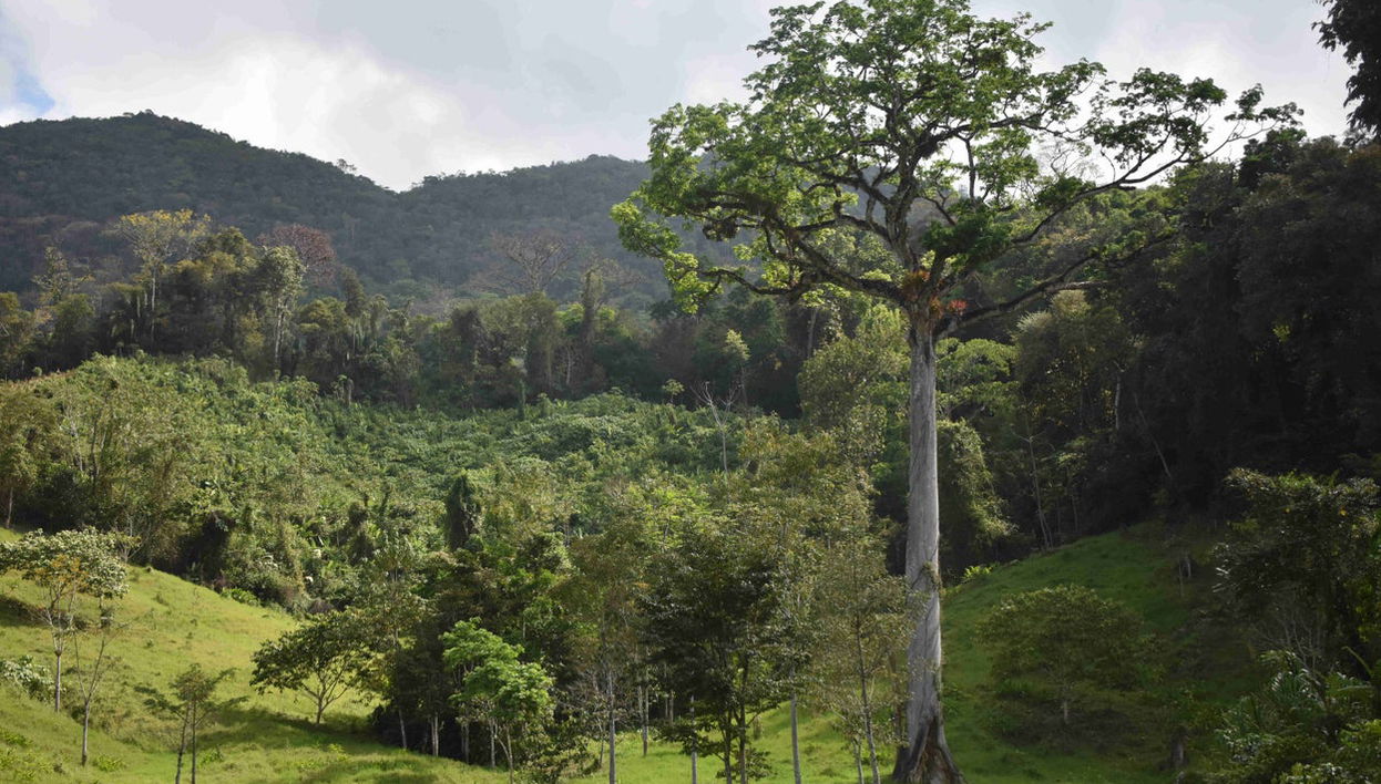 Trekking nella Selva Lacandona - Foto 1