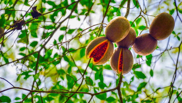 Trekking nella Selva Lacandona - Foto 2