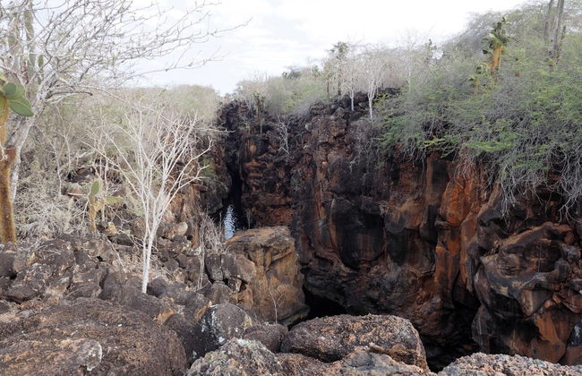 North Seymour Island Tour - Foto 6