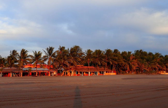 Boca del Cielo & Puerto Arista Beach Tour - Foto 2