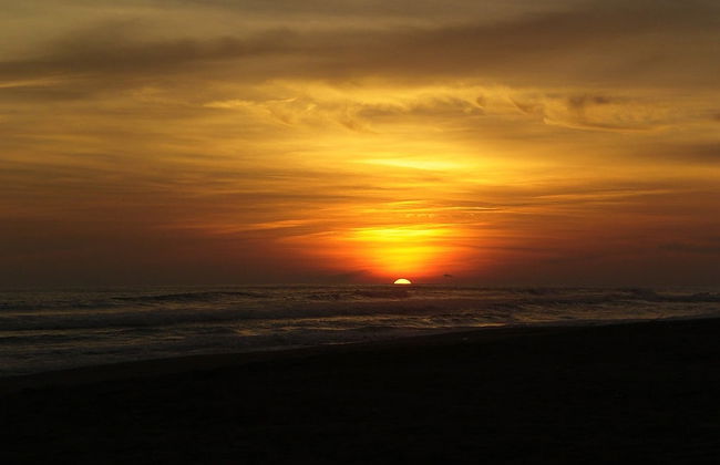 Boca del Cielo & Puerto Arista Beach Tour - Foto 4