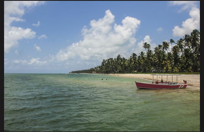 Carneiros Day Trip - Foto 1