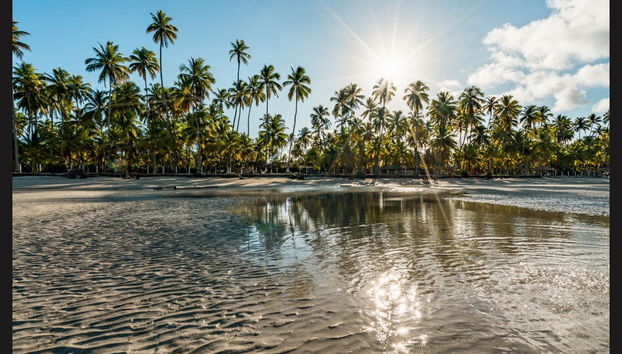 Excursión a Carneiros - Foto 2