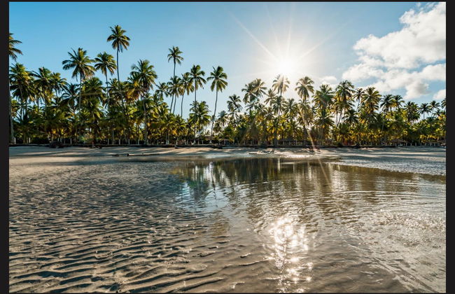 Carneiros Day Trip - Foto 2