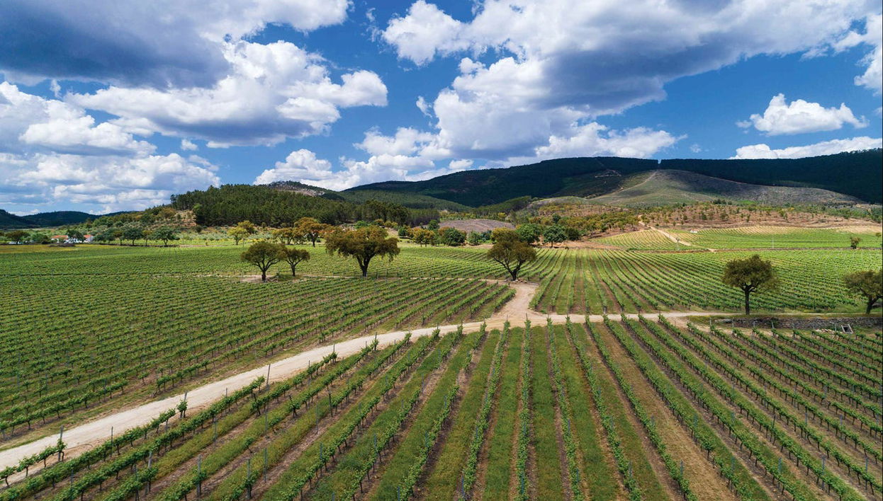 Quinta da Fonte Souto Winery Tour - Photo 1