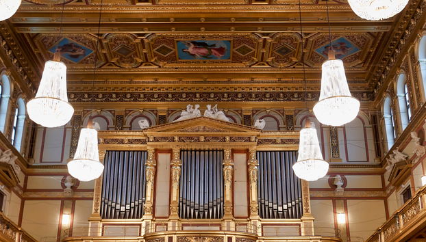 Mozart Concert at the Musikverein - Foto 5