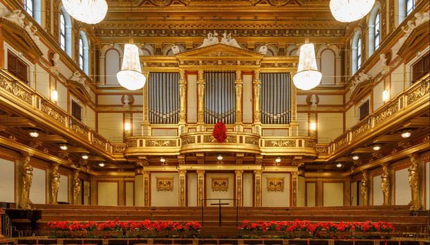 Mozart Concert at the Musikverein - Foto 4