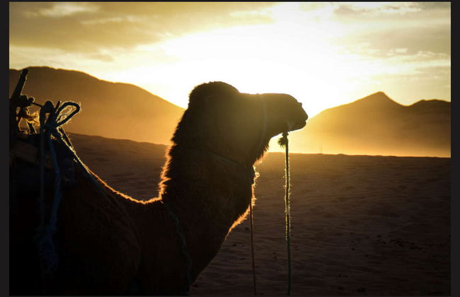 2-Day Zagora Desert Trip - Photo 2