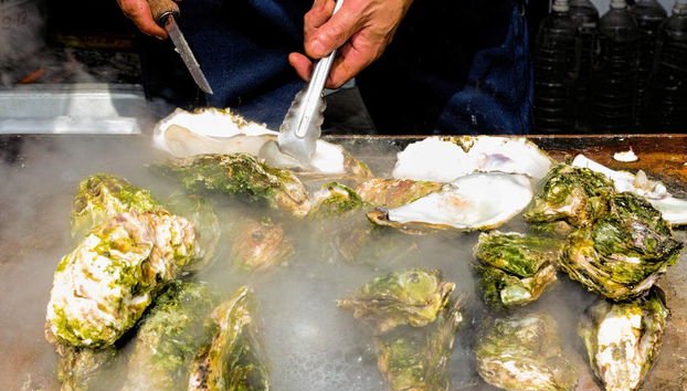 Tsukiji Fish Market Tour - Foto 3