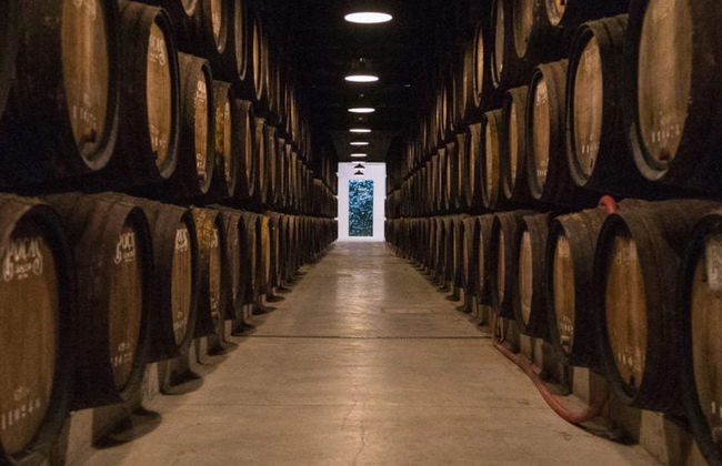 Visita a la bodega Poças - Foto 12
