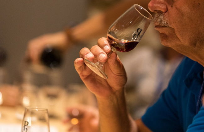 Visita a la bodega Poças - Foto 7